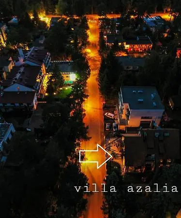 Проживание в семье Azalia *