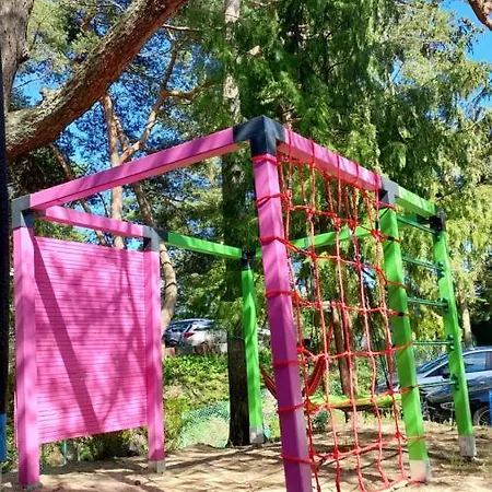 Azalia Jastrzębia Góra