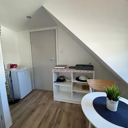 Azalia Jastrzębia Góra