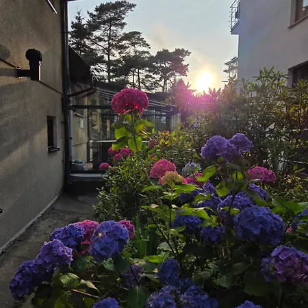 בית אירוח Azalia