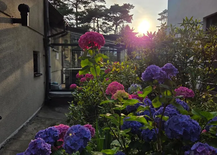 Ubytování v soukromí Azalia